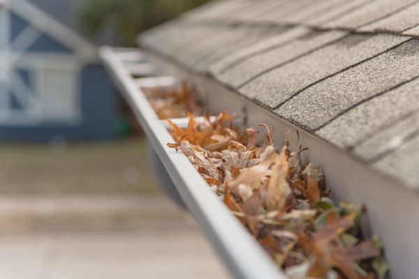 Leaf Barrier Installation in Daphne